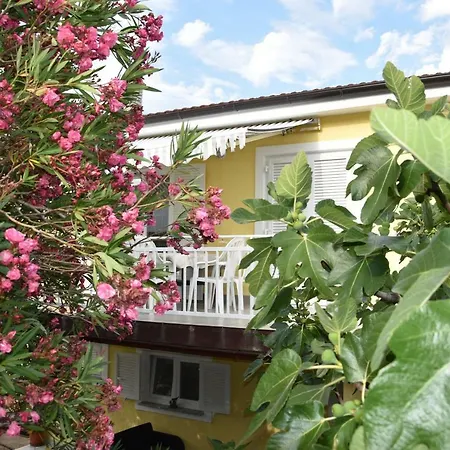 Apartment Novosel *