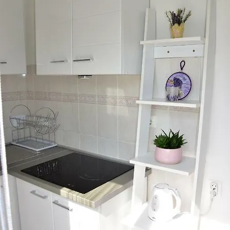 Novosel Apartment *
