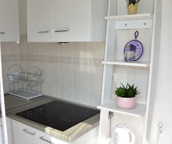 Novosel Apartament *